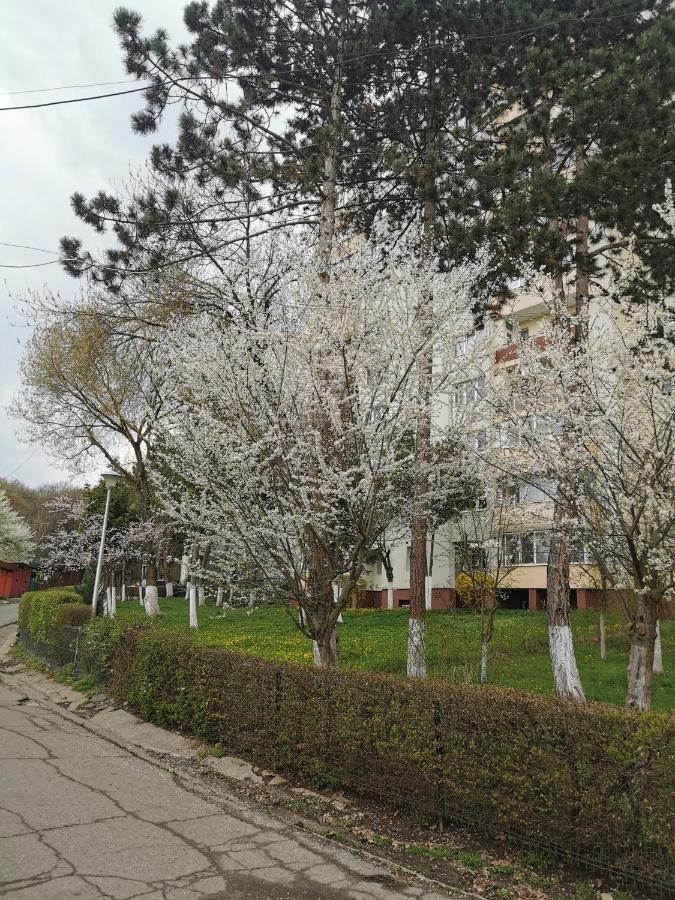 Apartament Maysa Kolozsvár Kültér fotó