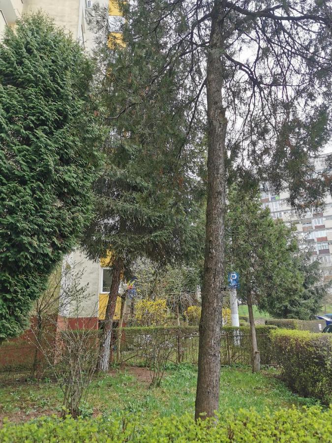 Apartament Maysa Kolozsvár Kültér fotó